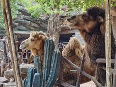 -长鹿旅游休博园