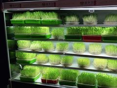 -番食园鲜食火锅(高新店)