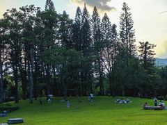 -四海公园(南山区)