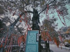 -水峪民俗村