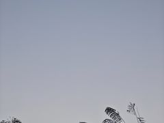 -七娘山
