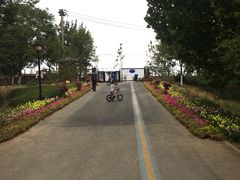 -永定河休闲森林公园