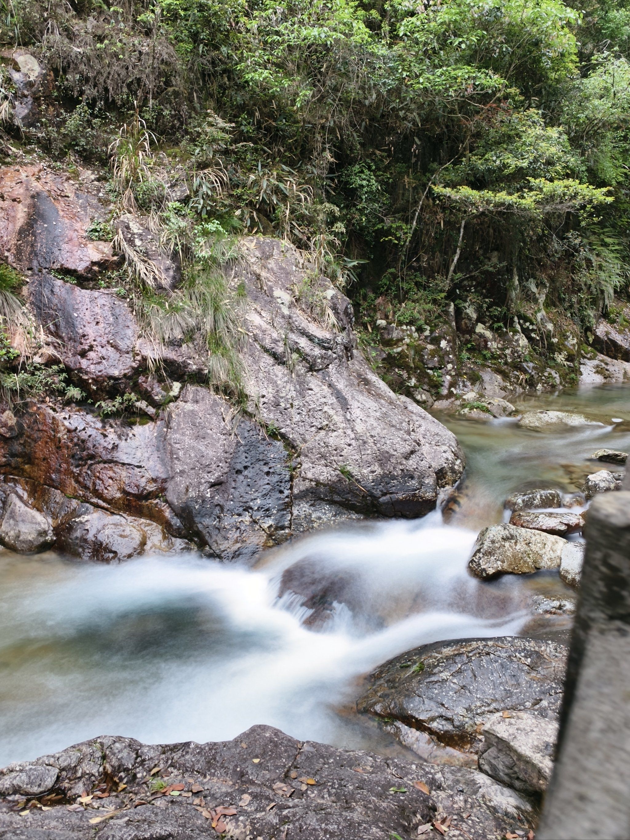 牛头山国家森林公园