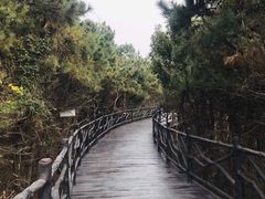 -嵊泗基湖沙滩
