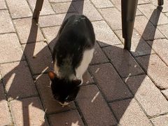 -BreadTalk面包新语·烘焙蛋糕(五羊邨店)
