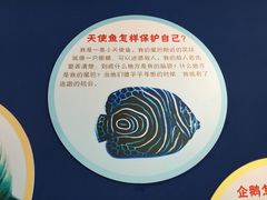 -上海海洋大学鱼文化博物馆(军工路校区)