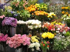 -植物学家的女儿(北马道巷店)