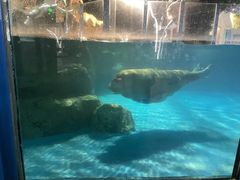 -海合安成都极地海洋公园