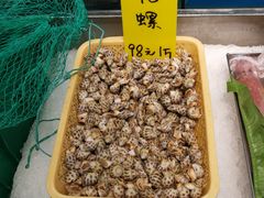 -飞尝蚝·顺德菜·鱼生(顺德总店)