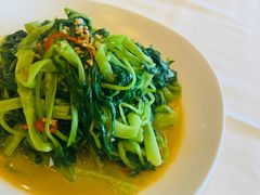 椒腐通菜-利苑酒家(合景国际金融广场店)