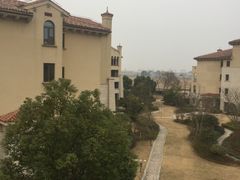 -上海崇明金茂凯悦酒店