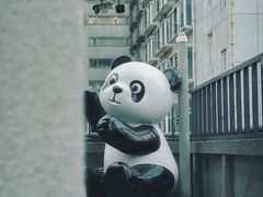 -背包十年青年旅舍(成都太古里春熙路店)