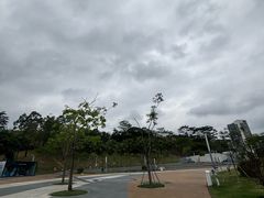 -白石龙音乐公园