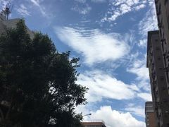 -微热山丘(台北民生公园门市店)