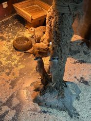 -未来动物城主题公园(正弘城店)