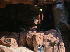 -长鹿旅游休博园