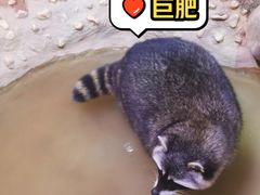 -正佳雨林生态植物园