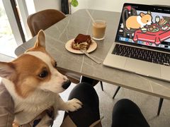 -PAUSE CAFE(南秀村店)