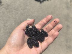 -西部长青自然儿童乐园