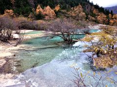 -黄龙山原始森林景区