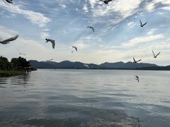 -杭州湖滨in77