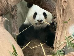-灵玲国际马戏城