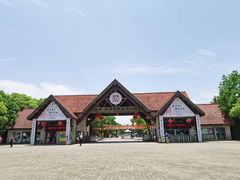 -上海海湾国家森林公园