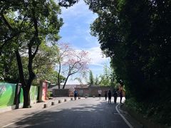 -点都德(广州白云山景区南门店)