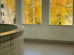 -湖北美术学院(昙华林校区)