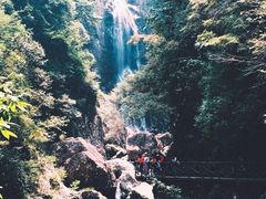 -龙湾潭国家森林公园