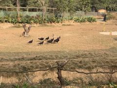 -李小龙乐园(顺德均安店)