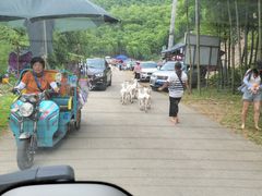 -将军关探险漂流