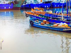 -沈家门渔港