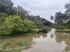 -云溪植物园