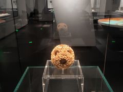 -广西壮族自治区博物馆