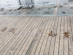 -西湖外事游船(湖滨二公园外事游船码头)