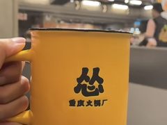 -岭南站NOVA