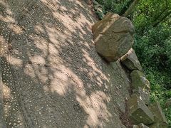 -上海佘山国家森林公园天马山园