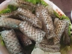 -川西坝子(老军营店)