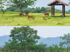 -良渚古城遗址公园