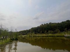 -东莞植物园