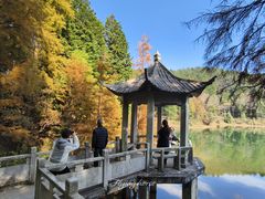 -四明山国家森林公园