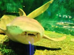 -嘉兴海底世界