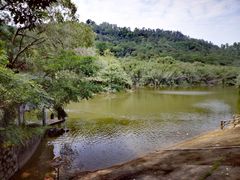 -滴水岩森林公园