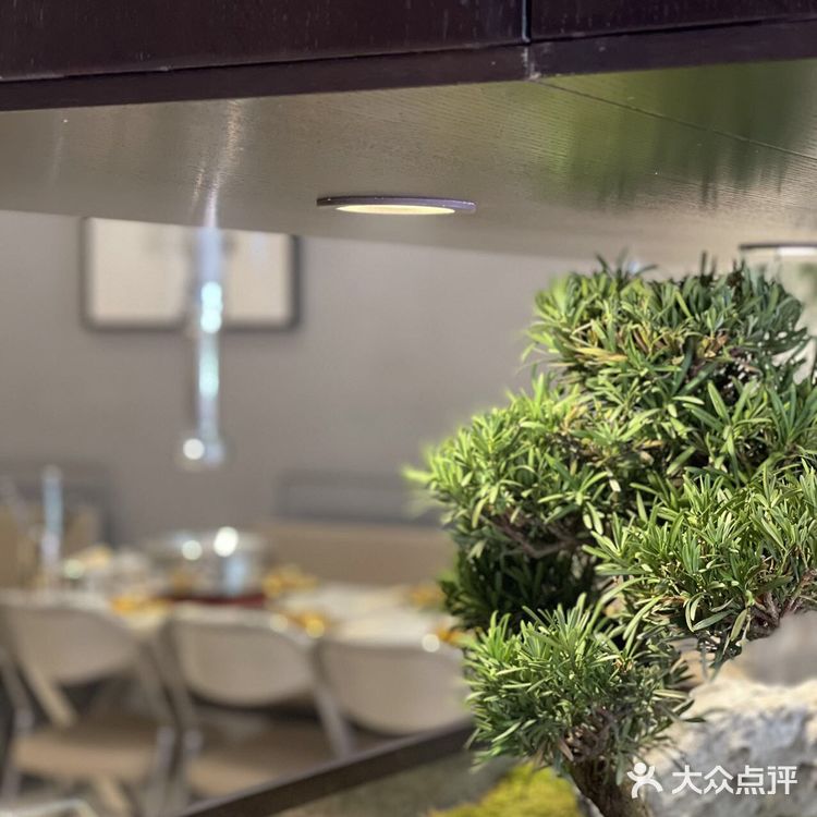 我给大家炫一瓶|东北烤肉天花板|松树盆景是真的