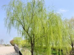 -嘉北郊野公园
