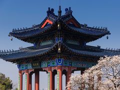 -梅花山(明孝陵内)