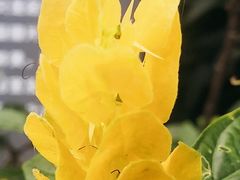 -北京植物园-展览温室