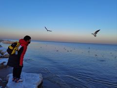 -兆辉木炭海鲜烧烤·海鲜小炒