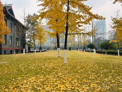 -四川大学(望江校区)